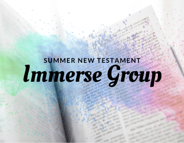 Immerse Group (1) Immerse Group (1)